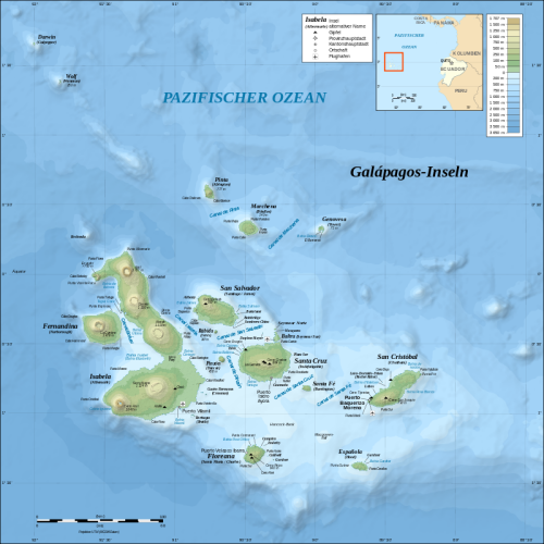„Galapagos Islands topographic map-de“ von Eric Gaba (Sting - fr:Sting), translated by NordNordWest - Own workData sources:Topography: NASA SRTM3 v2Bathymetry: compiled by William Chadwick, Oregon State University (see the terms of use). Lizenziert unter GFDL über Wikimedia Commons - https://commons.wikimedia.org/wiki/File:Galapagos_Islands_topographic_map-de.svg#/media/File:Galapagos_Islands_topographic_map-de.svg